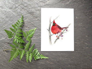 Cardinal Greeting Card