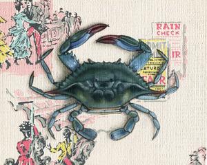 Chesapeake Blue Crab