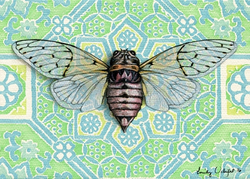 Cicada Mandala