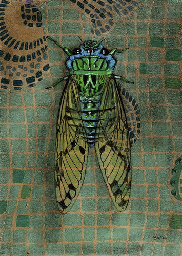 Cicada on shells