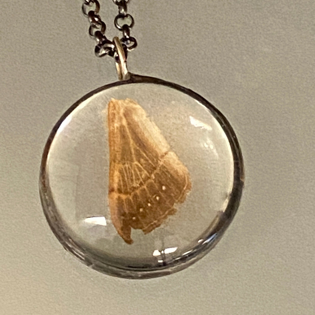 Feather Necklace - IV