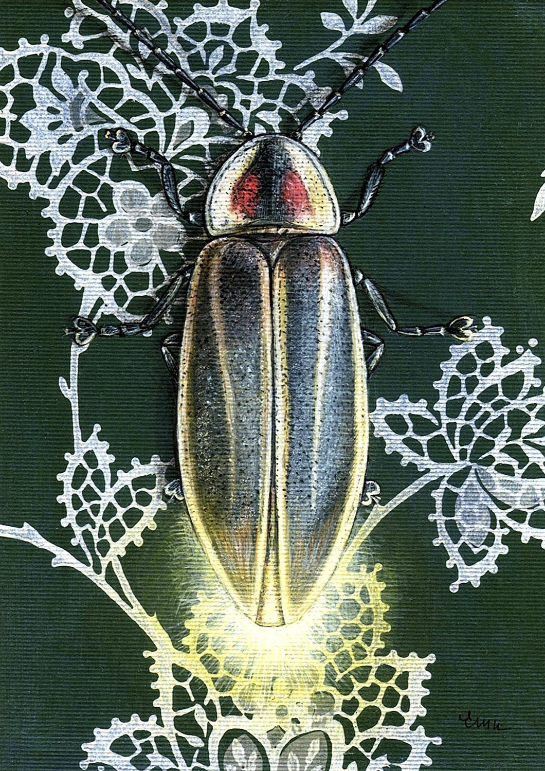 Firefly