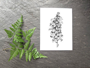 Black and White Fox Glove Greeting Card