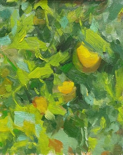 Napa Lemons