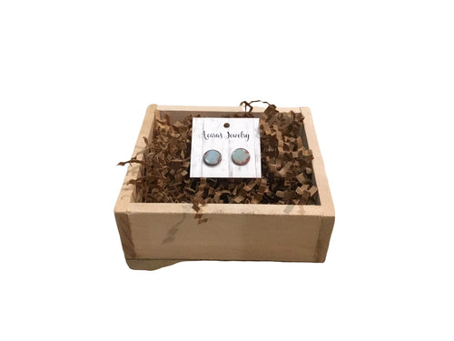 Light Blue Enameled studs