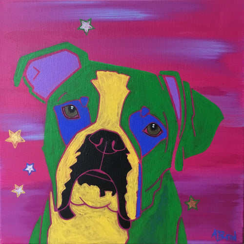 Clownish Companion IV