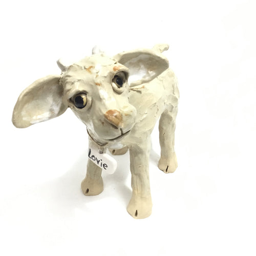 Lovie the Goat