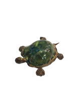 Turtles