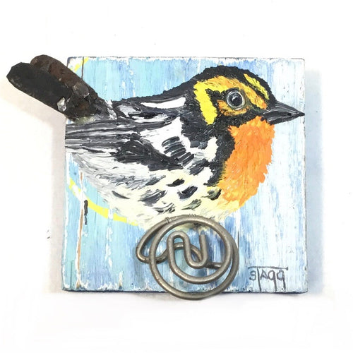 Blackburnian Warbler I