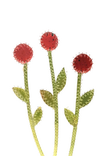 Flower Collage Cards