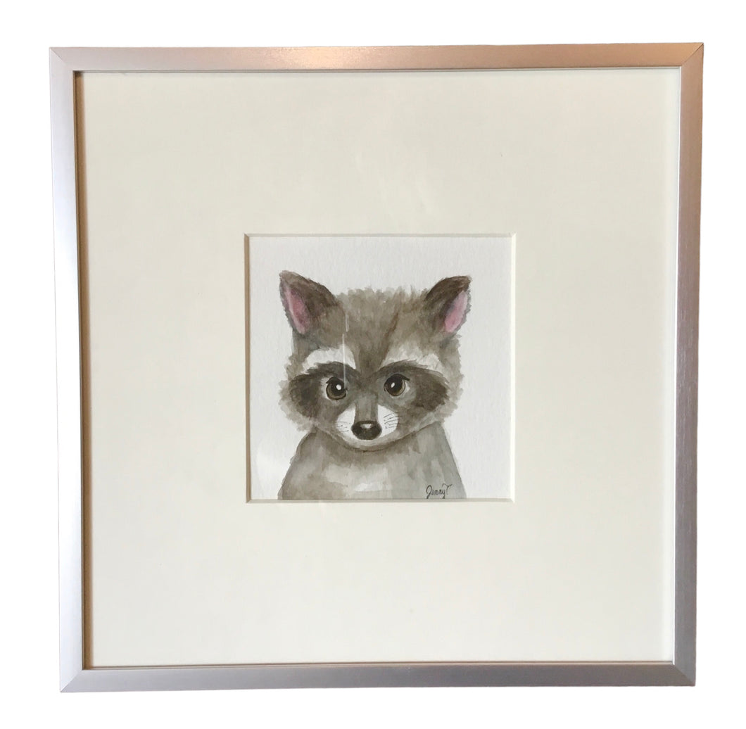 Baby Racoon