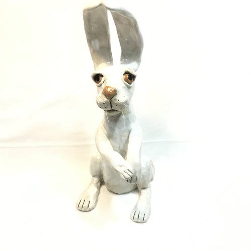 Large White Sitting Hare