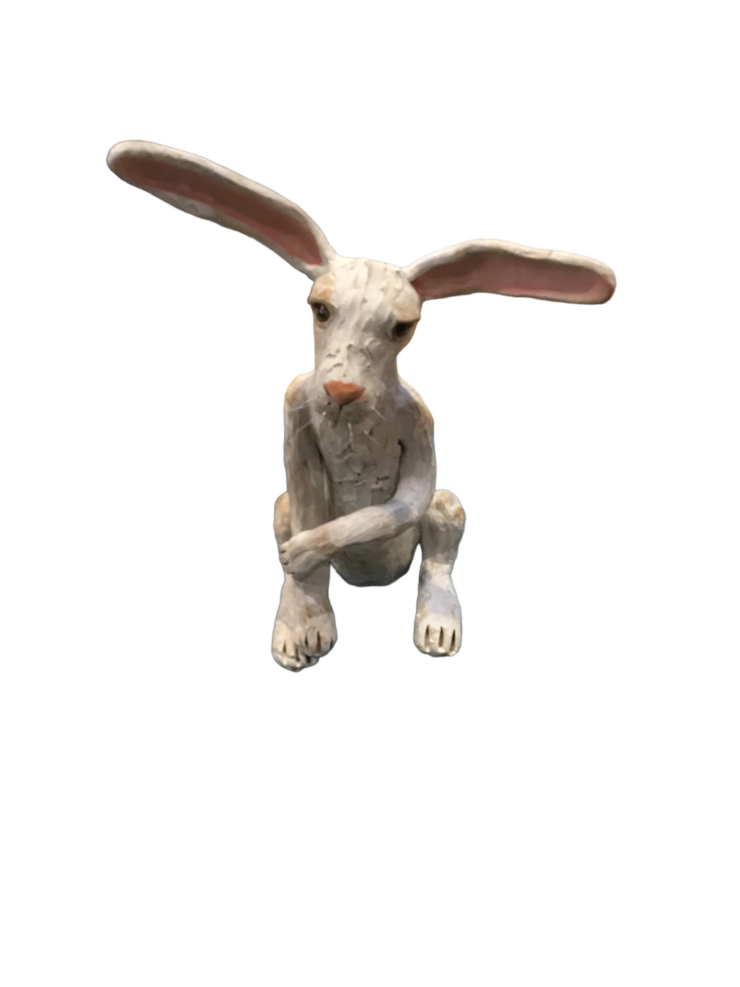 Large White Hare--Pink Ears