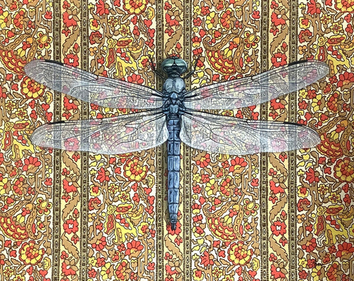 Dragonfly (red)