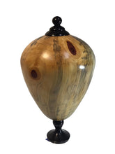 #219 Norfolk Island Pine hollow form