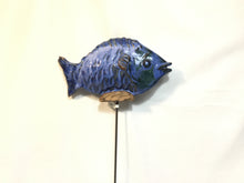 Medium Fish on a Stick