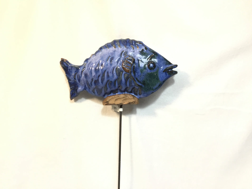 Medium Fish on a Stick