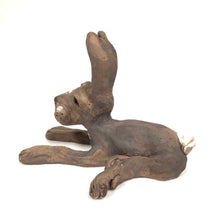 Hare, Small