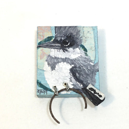 Belted Kingfisher I