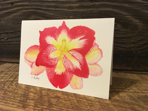 Amaryllis Watercolor Card