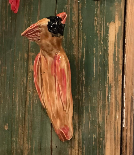 Large Female Cardinal