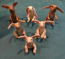 Smaller Rabbit