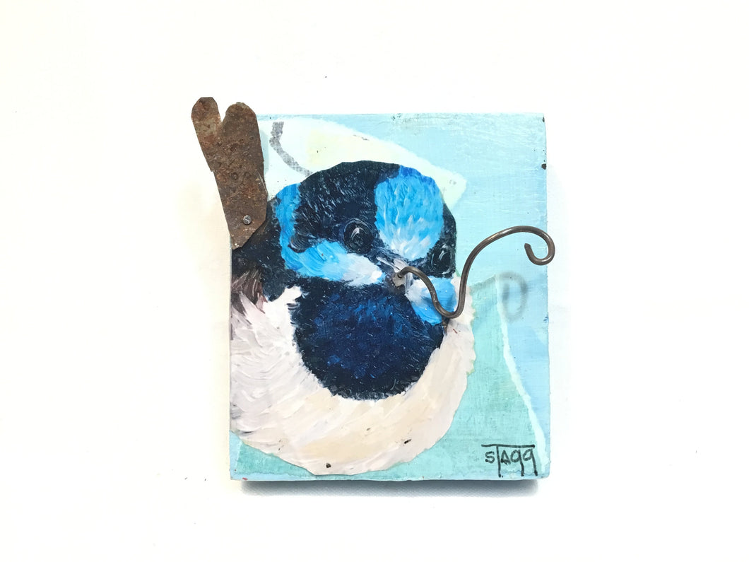 Fairy Wren III