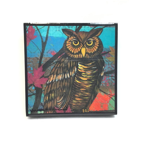 Brown and Orange owl
