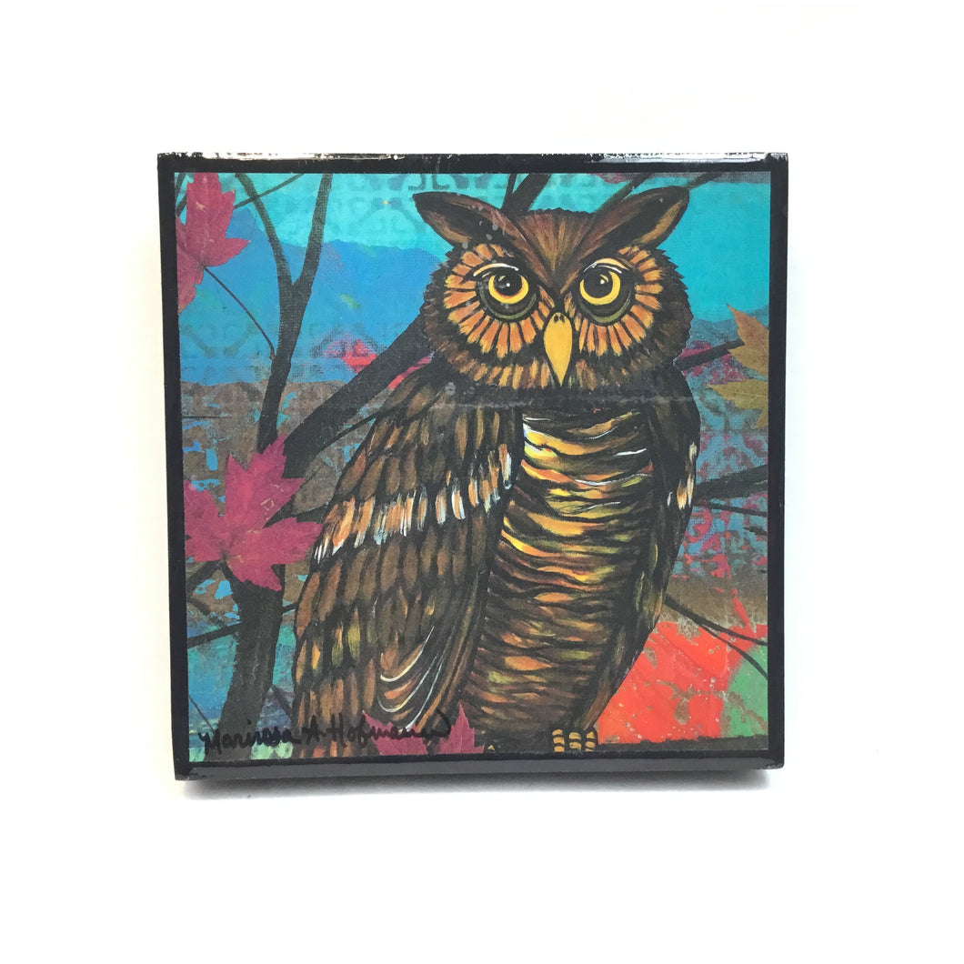 Brown and Orange owl