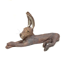 Hare, Large