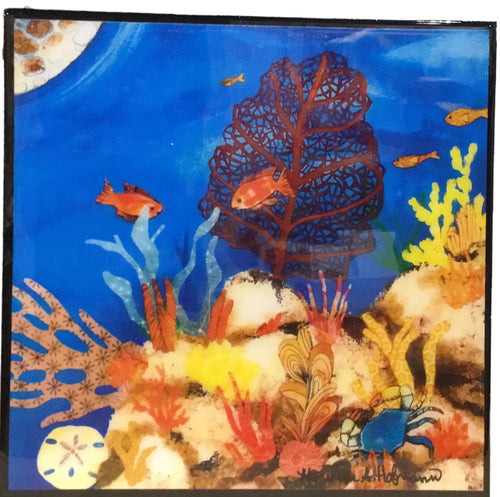 Clown Fish and Coral