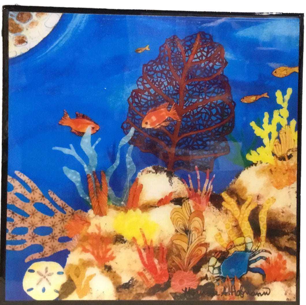 Clown Fish and Coral