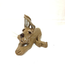 Hare, Brown Lying Down