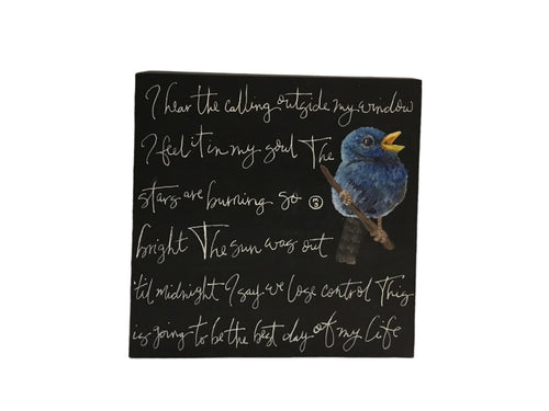 American Authors/Blue finch