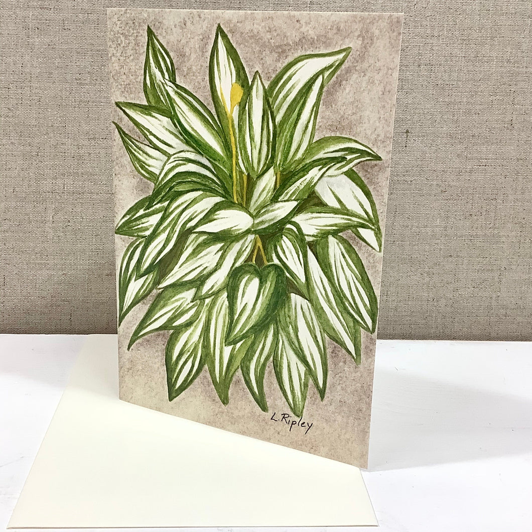 Hosta Cool as a Cucumber Watercolor Card