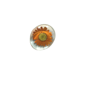 Pressed Flower Magnets- Orange