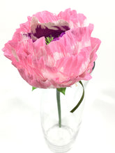 Pink and Purple Flower
