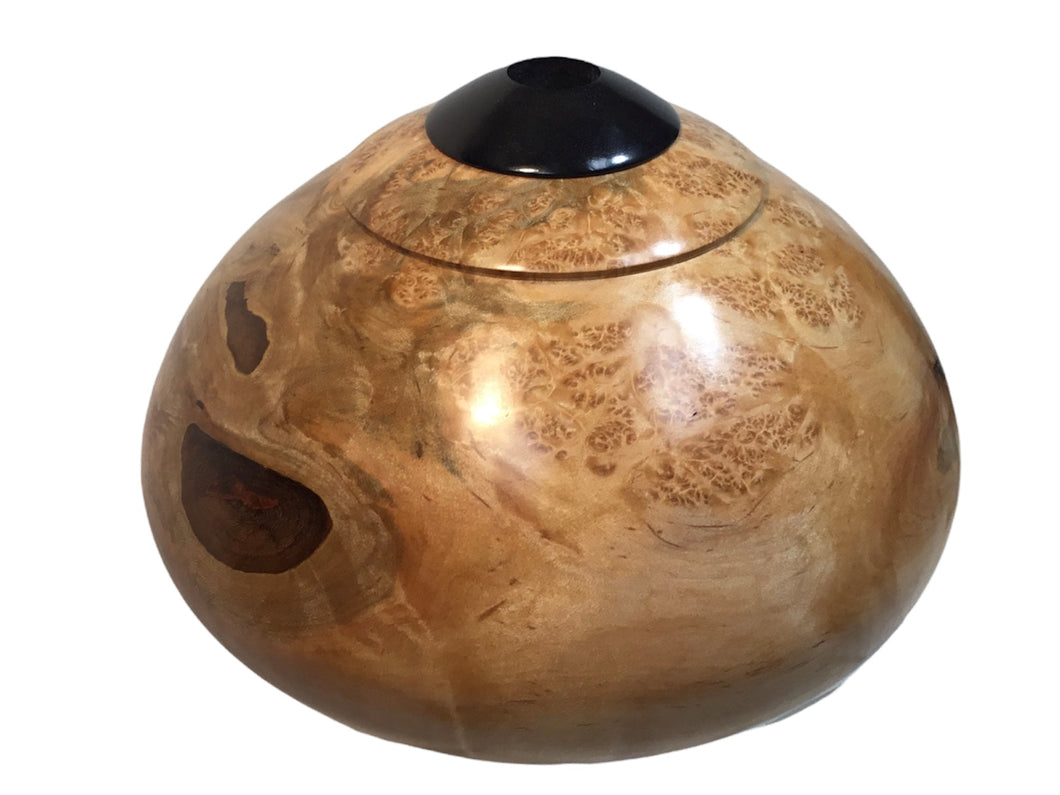 #229 Large Maple hollow form