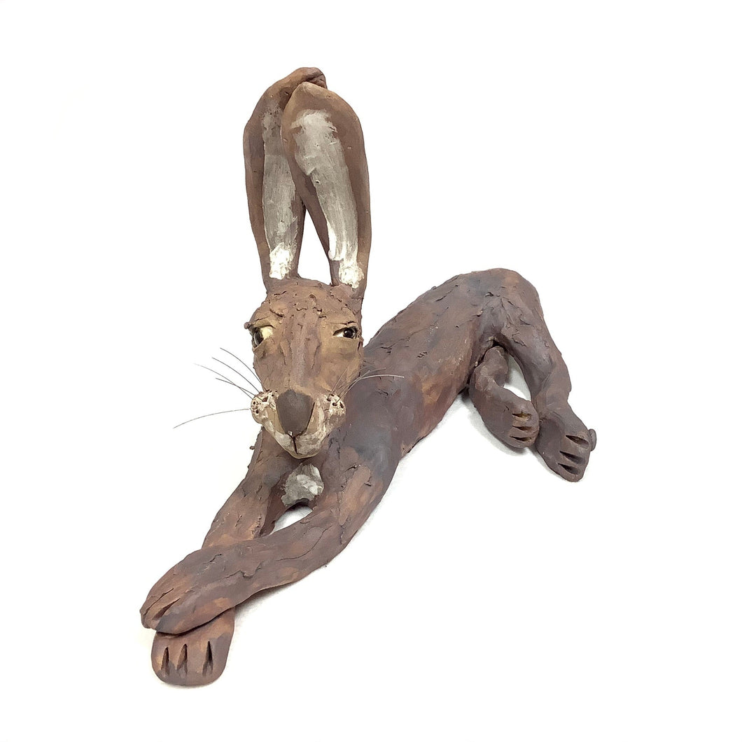 Hare, Large