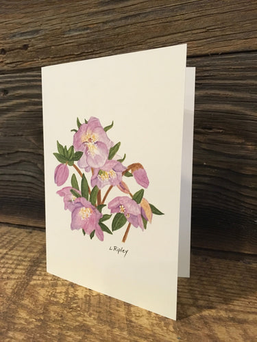 Lenten Rose (Hellebore) Watercolor Card