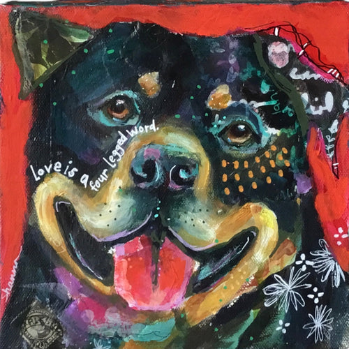 Love is a four legged word