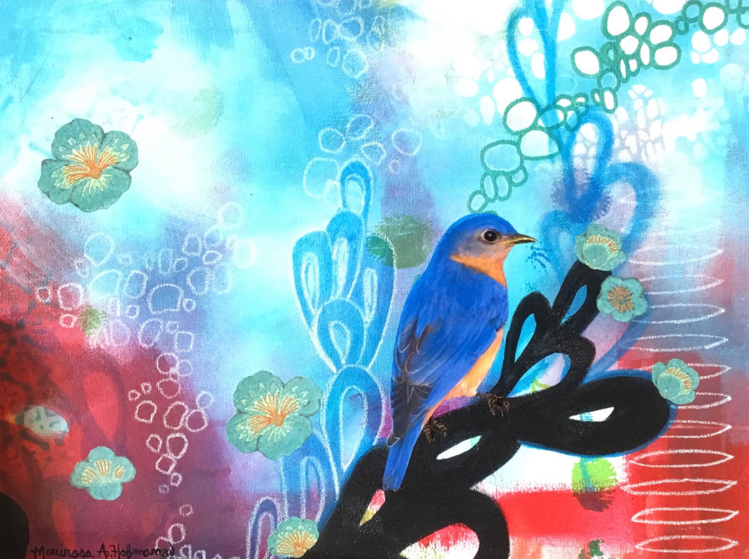 Eastern Bluebird Daydreaming