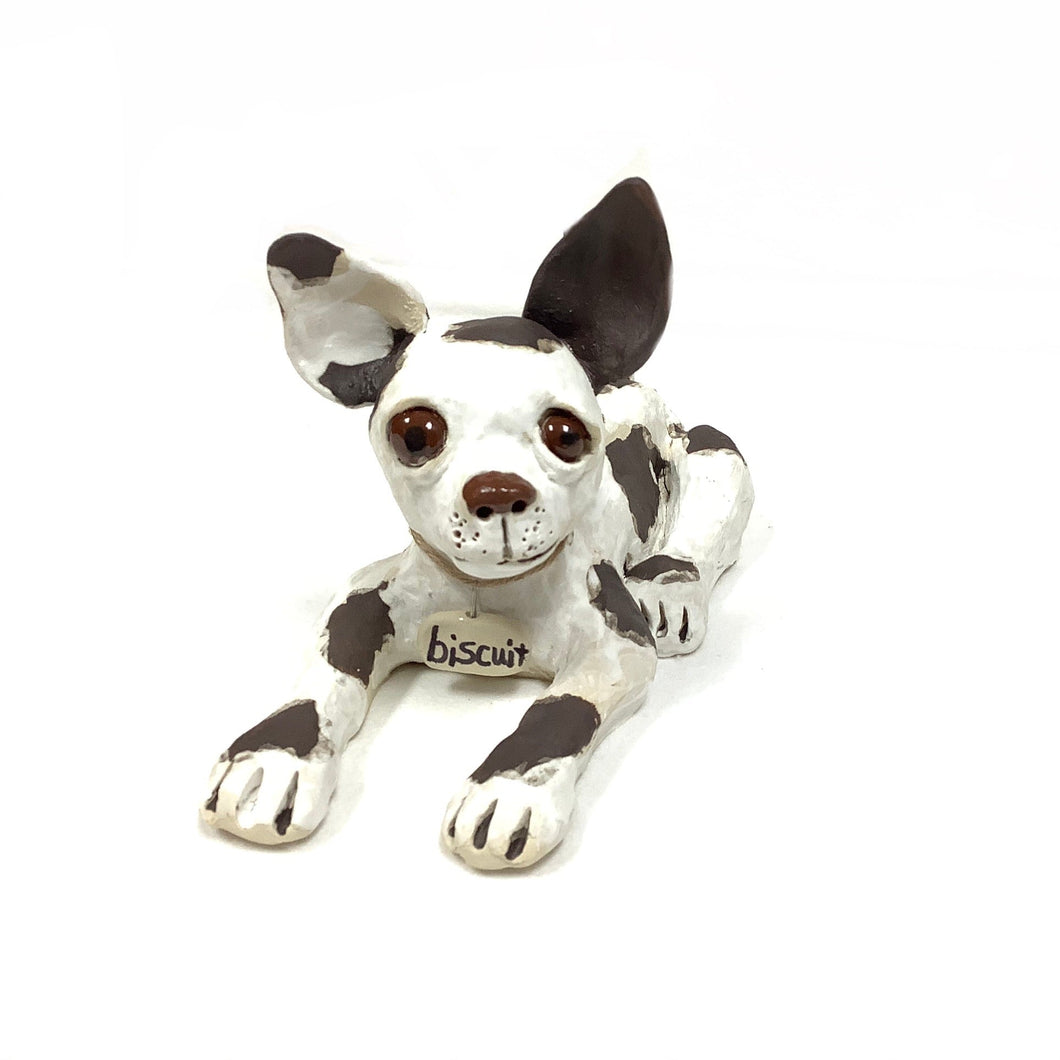 Biscuit, Chihuahua