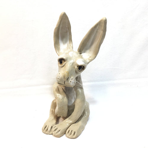 Hare, Tan Sitting