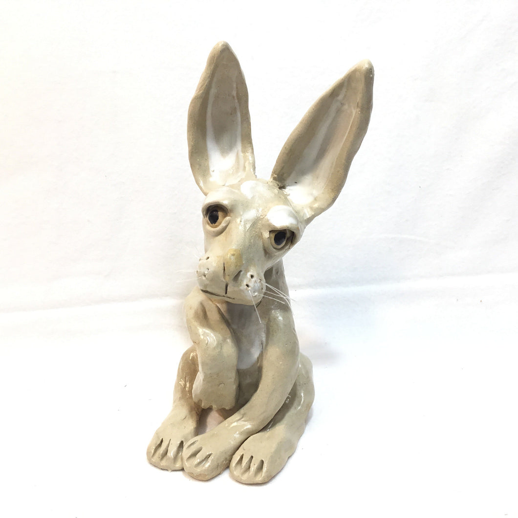 Hare, Tan Sitting