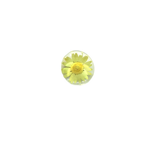 Pressed Flower Magnets-Yellow