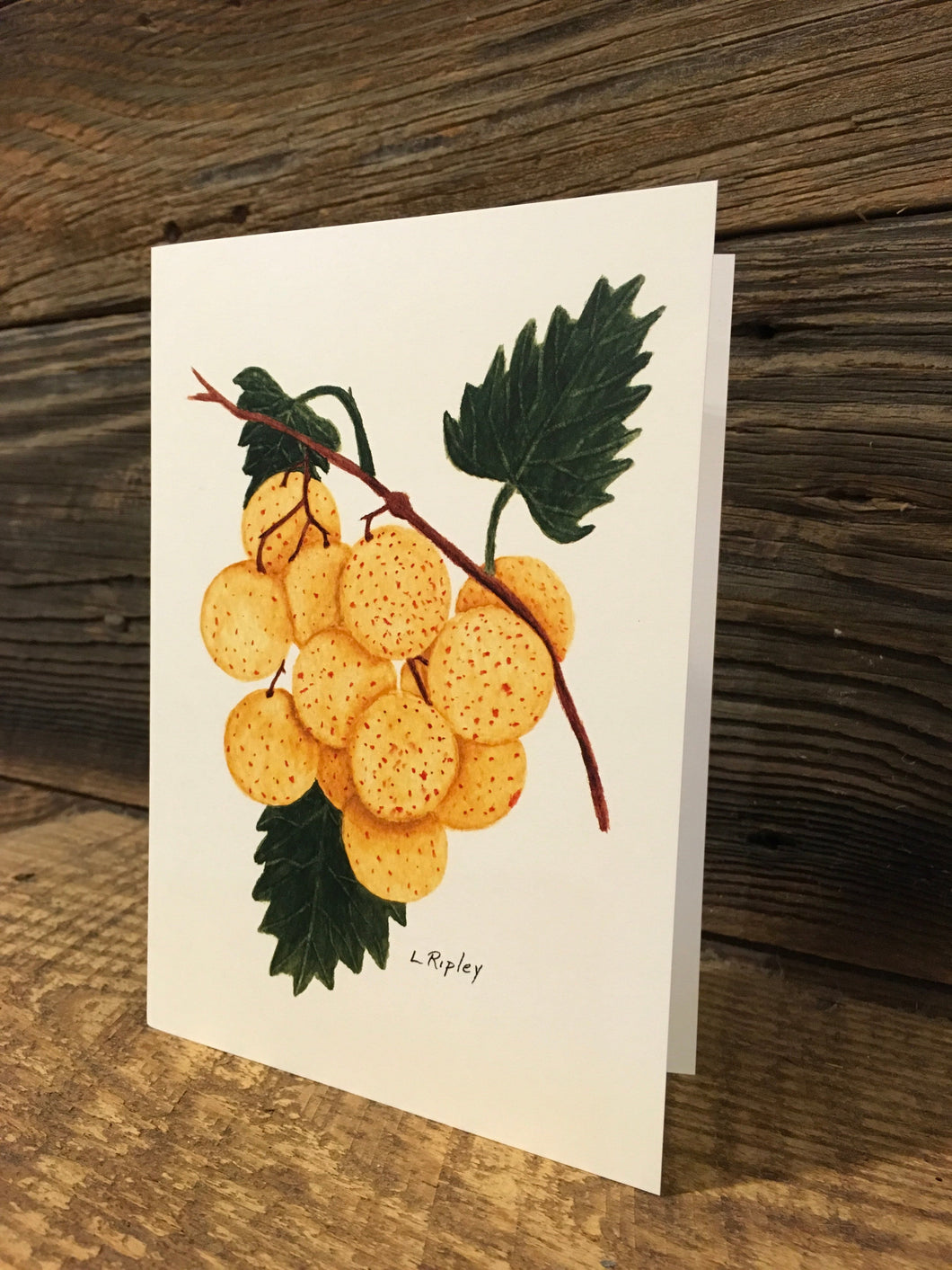 Bronze Muscadine Watercolor Card