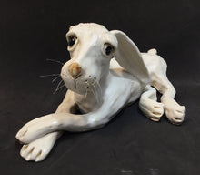 Hare, White Laying Down