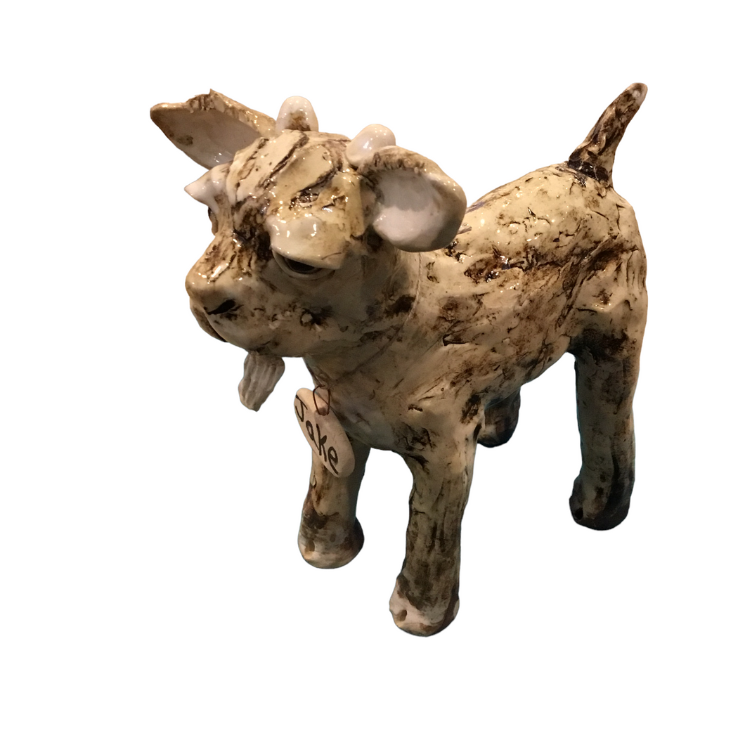 Goat--Jake