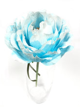 Blue Blanchie Flower